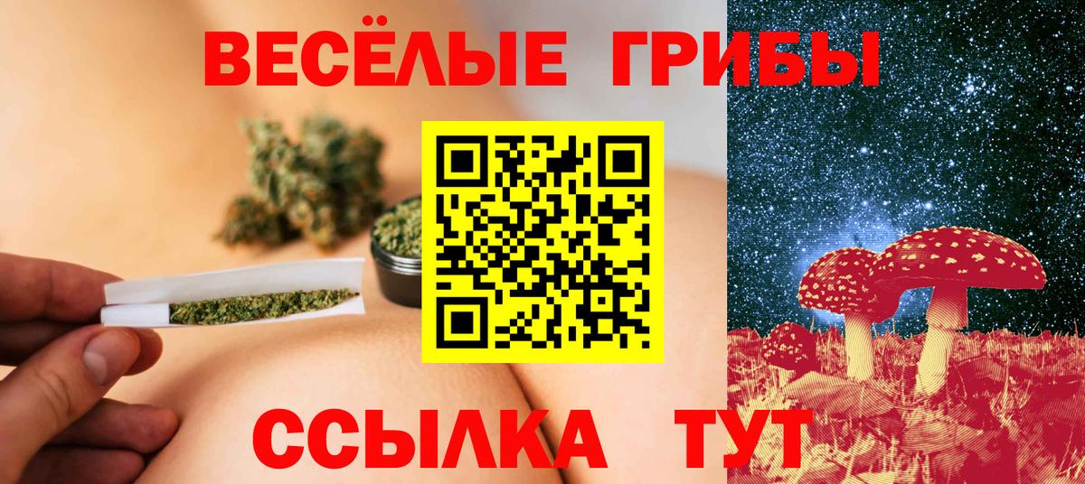 Галлюциногенные грибы Psilocybine cubensis  Вход с VPN  Псков 