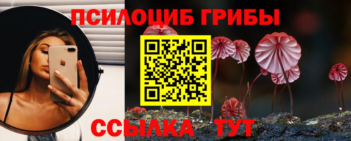 Псилоцибиновые грибы Psilocybine cubensis Псков